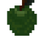 Guava Fruit