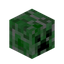 Creeper Head