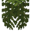 Coconut Leaves