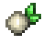 Whitecurrant
