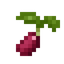 Strawberry Seed