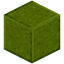 Polished Moldavite Stone