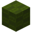Blocky Green Wool