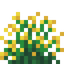Yellow Snowbelle