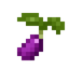 Grape Seed