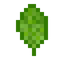 Spinach