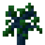 Origin Sapling