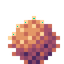 Sunset Thornbloom