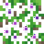 Ivy Vine