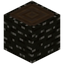 Canopy Tree Log