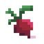 Radish