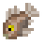 Brown Shrooma