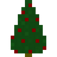 Holly Tree Sapling