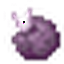 Chorus Fruit