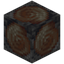 Deepslate Fossil