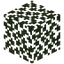 Birch Leaves