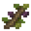 Olive Branch