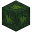 Swamp Homi