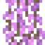 Purple Wisteria Vines