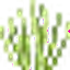 Lemongrass