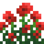 Poppy Bush
