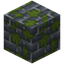 Mossy Blue Bricks