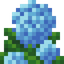 Blue Hydrangea
