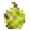 Breadfruit