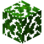 Jungle Leaves