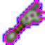 Dragon Debug Stick