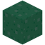 PokéGrass