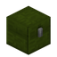 Chest