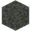 Eroded Mossy Cobblestone