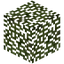 Bull Pine Leaves