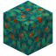 Semi Spongy Warped Wart Block