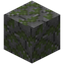 Mossy Stone Flagstone