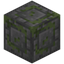 Tiny Brick Bordered Mossy Stone Bricks