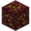 Nether Topaz Ore