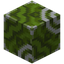 Green Glazed Terracotta