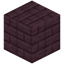Torreya Planks