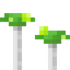 Green Mushroom