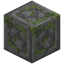 Bordered Mossy Stone Bricks