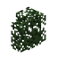 Cypress Hedge