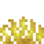 Horn Coral Fan