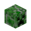 Creeper Head