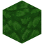 Green Bioshroom Block