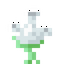 Spectranthemum
