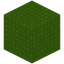 Knitted Lime Wool