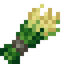Barley Seeds