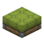 Conifer Seat